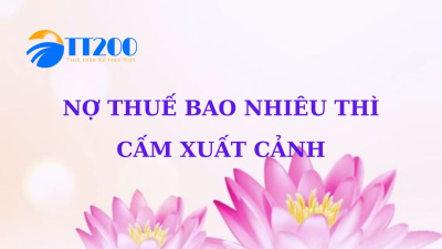 NỢ THUẾ BAO NHIÊU THÌ CẤM XUẤT CẢNH ?